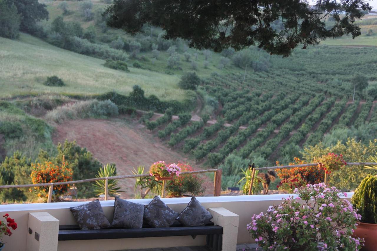 Terra Luso Proche De Montejunto Bed and Breakfast Cadaval Exteriör bild